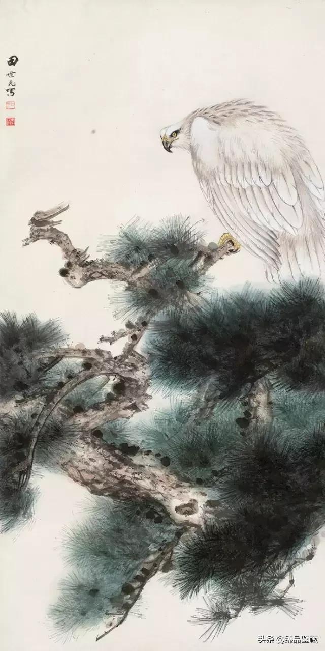工笔大师田世光,工笔画大师田世光画孔雀好美