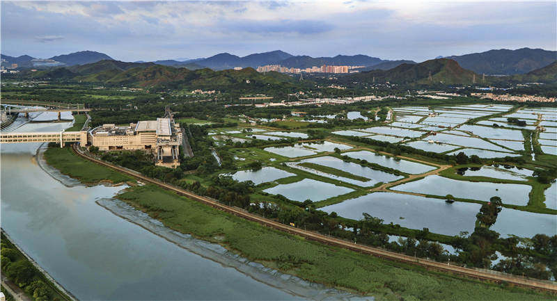 粤港线上的卡车司机：经历过90年野蛮生长的暴利时代，经历了香港货运吞吐下滑，如今却在担心老无所依