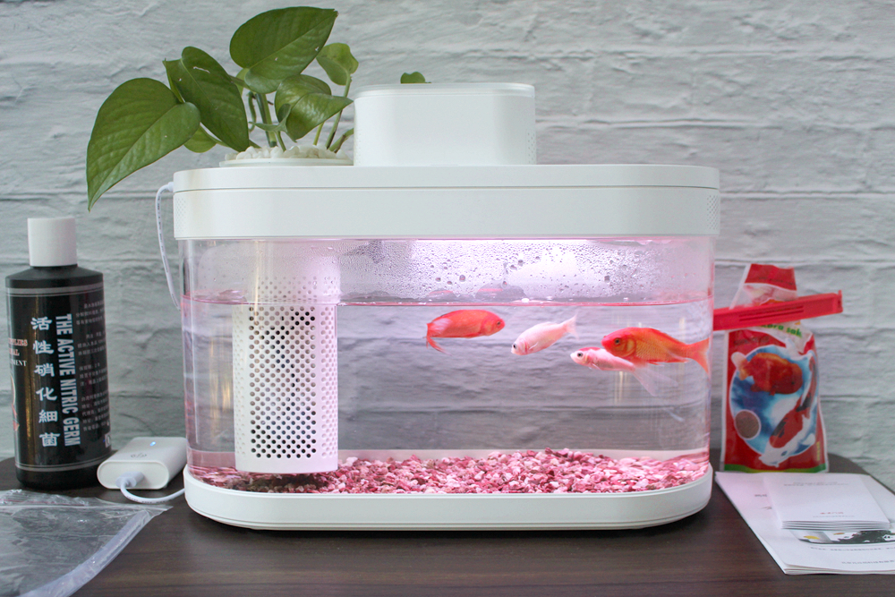 养鱼日记森森鱼缸,水族箱造景养鱼日记