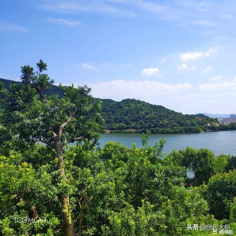 揭秘宁波二手车市场的套路,宁波二手车市场价格一览表