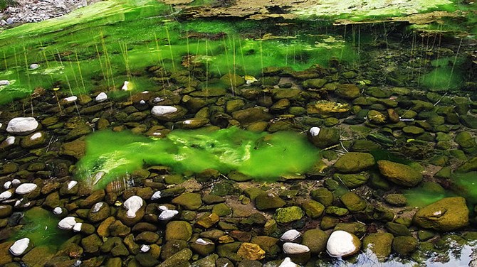 宜兴竹海山顶华南第一峰,宜兴华东第一竹海