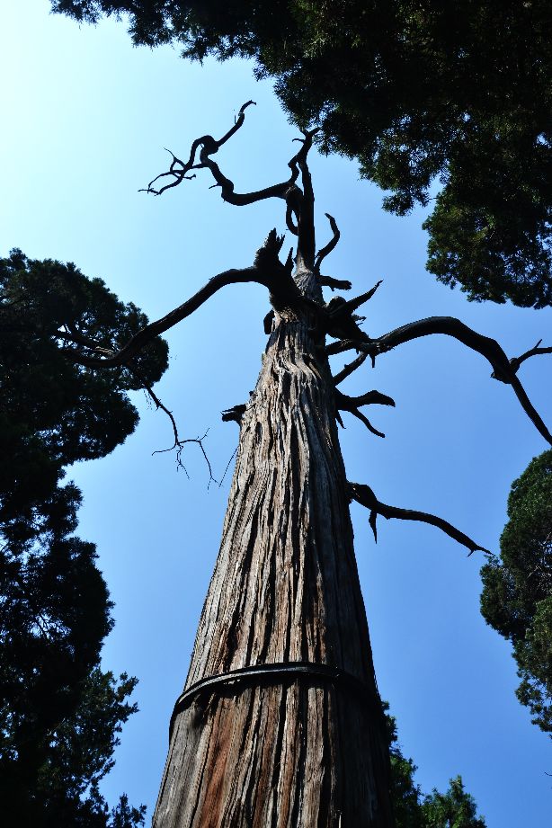 一个摄影爱好者的所有器材,摄影器材的终极之路