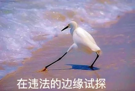 为什么转让驾驶证分违法,买卖车辆扣分有什么规定