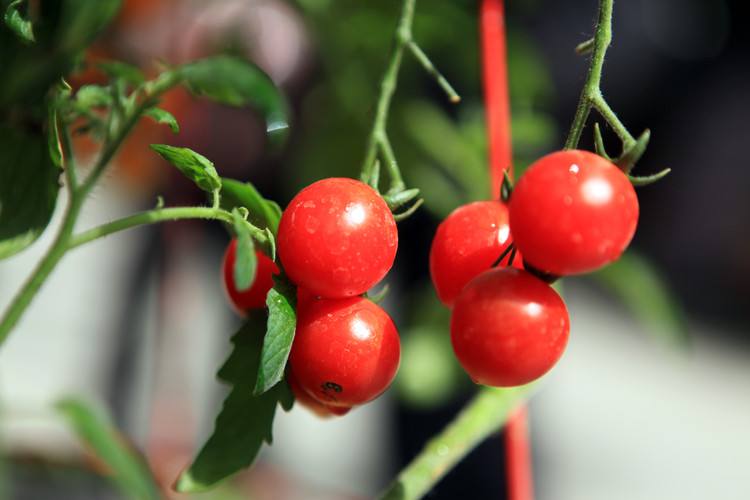 过年吃胖了怎么办？管住嘴+迈开腿，*管双**齐下！