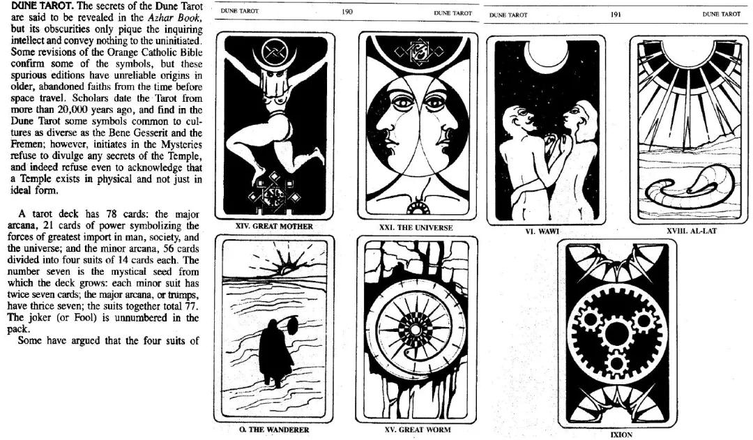 沙漠高级感走秀,沙漠走秀