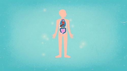 喝茶太多会增加肾脏负担吗,喝茶过多了有什么危害