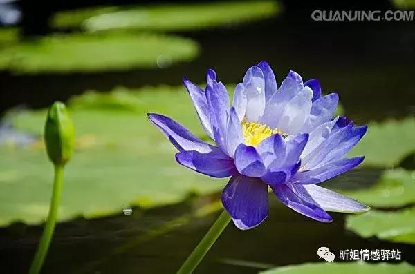 涂磊经典语录句句入心婚姻,涂磊经典语录大全完整版