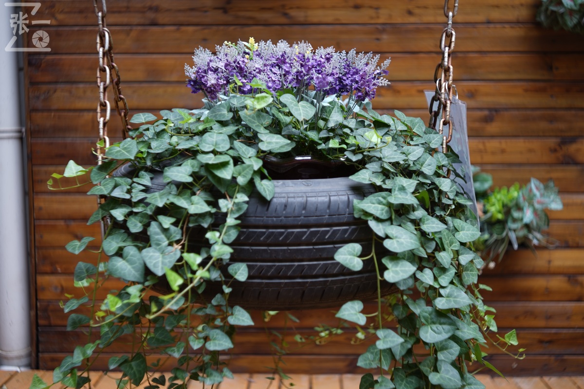 适合索尼a7m4的50定焦镜头测评,索尼a7m4镜头24-105f4测评