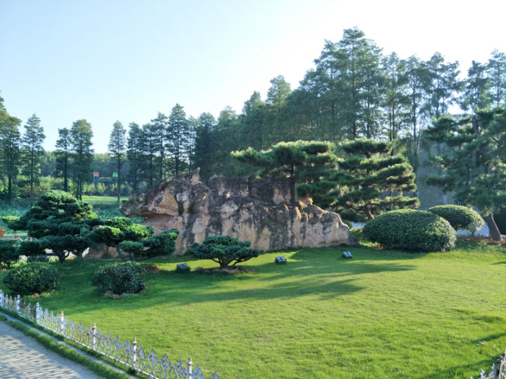 森林人单筒手机望远镜测试,iphonexr手机望远镜