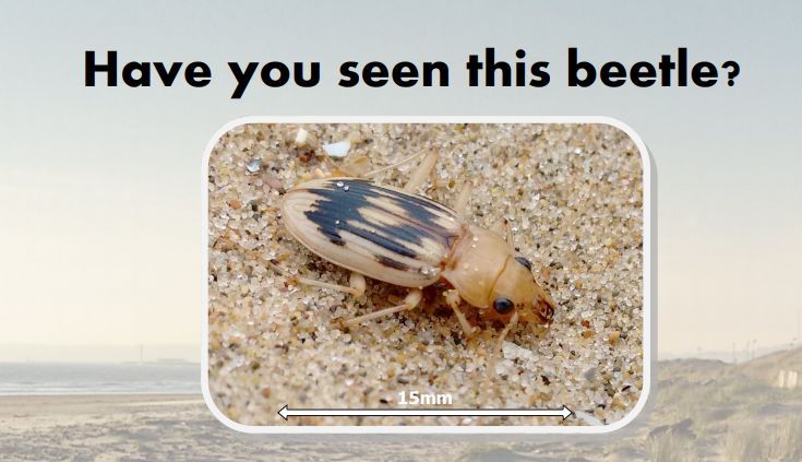 英国哪所大学靠海边,英国海边大学