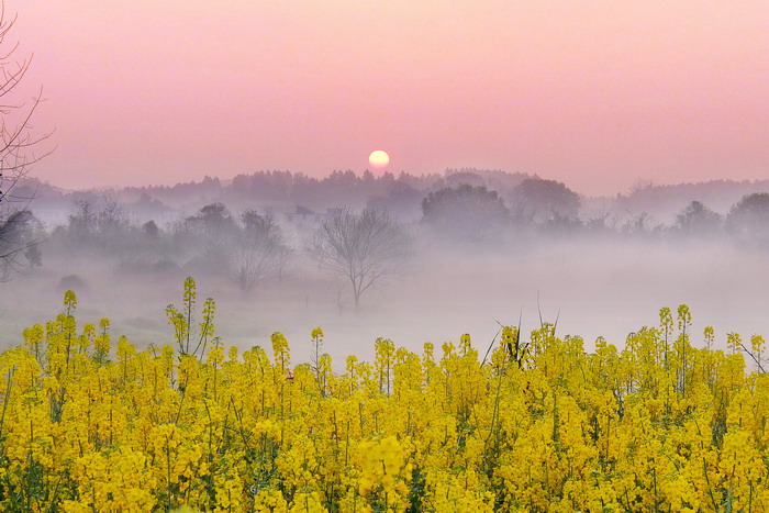 历史性时刻中国,历史性时刻降临