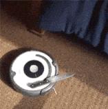 开心一刻gif搞笑动图,搞笑gif段子看起来能量满满