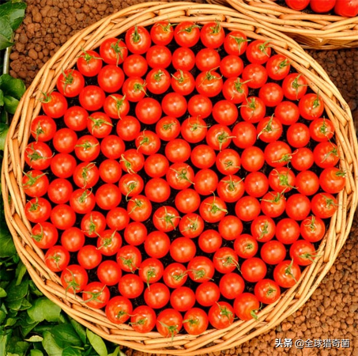 治愈强迫症的29张图片，看完整个人都舒爽了