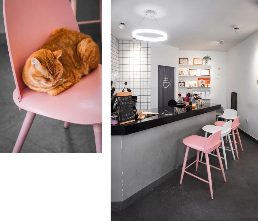 苏州行走的咖啡店,苏州藏在巷子里的咖啡馆