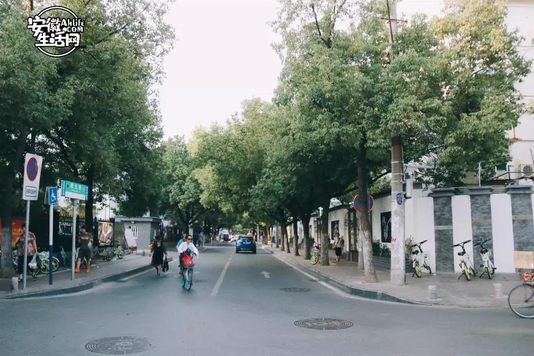 从“中隐于市”到“小隐于野”，合肥曙光路我还可以再逛N遍