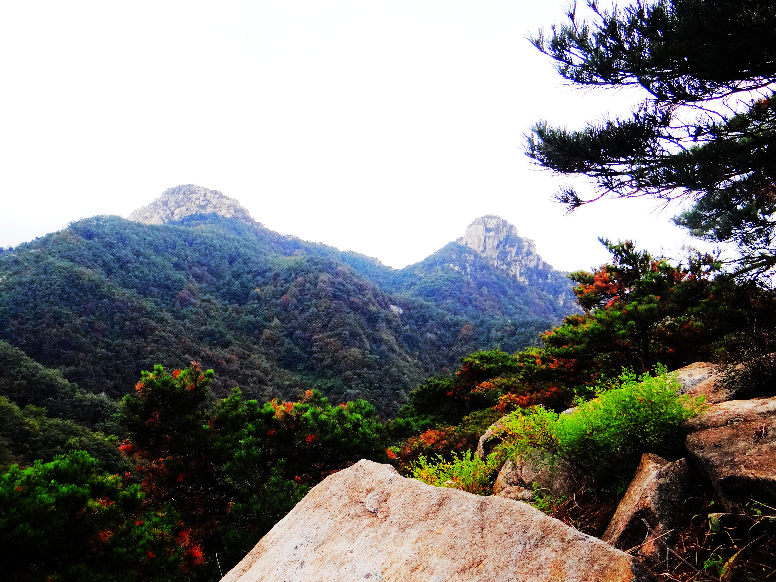 云蒙山自然风景,临沂云蒙山旅游攻略