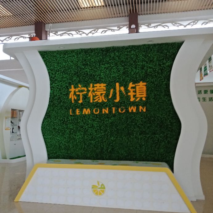 安岳柠檬小镇宝森收门票不,安岳宝森柠檬小镇门票