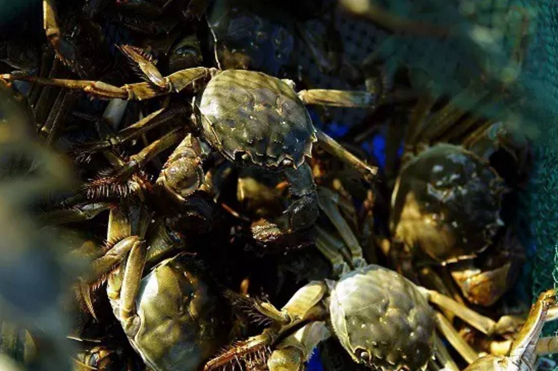 宁波东钱湖温泉酒店排行榜,宁波东钱湖旅游度假酒店推荐