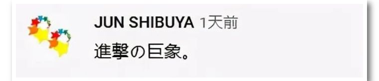 whiteelephant象征什么,whiteelephant代表什么含义