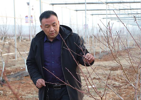 蒙阴探索乡村振兴新路径,乡村振兴澎湃