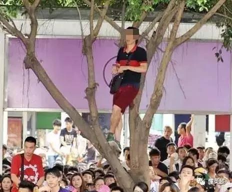 阿森纳励志段子,盘点阿森纳