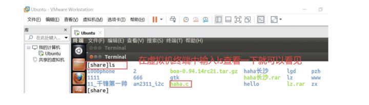 虚拟机物联网技术,物联网开发教程