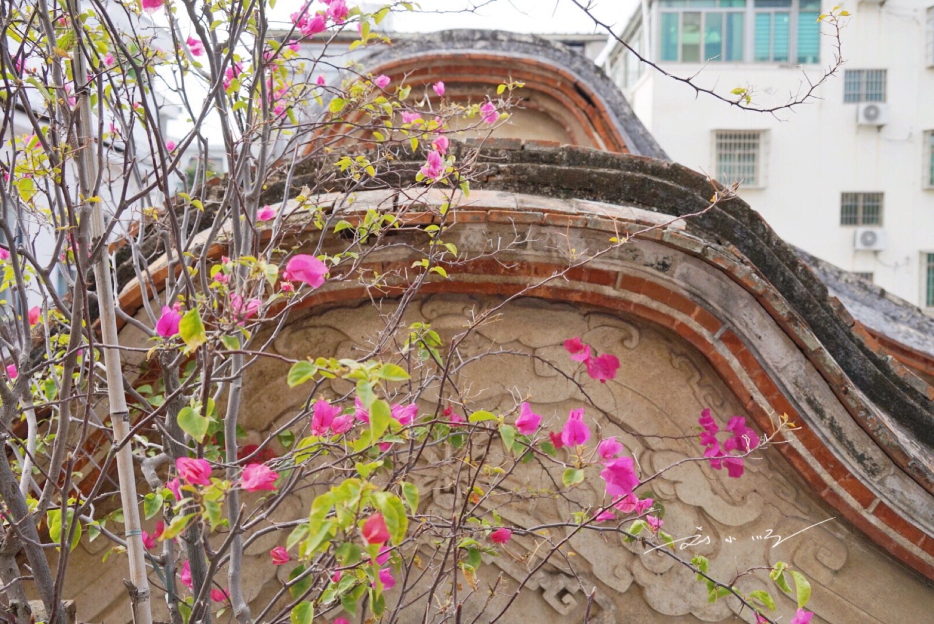 入住厦门民宿有什么感觉,厦门入住性价比最高民宿