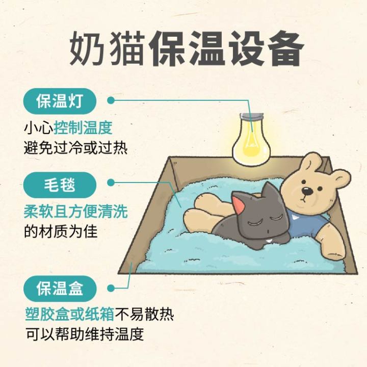 刚买的幼猫怎么养正确方法图文,养幼猫怎么教用猫砂