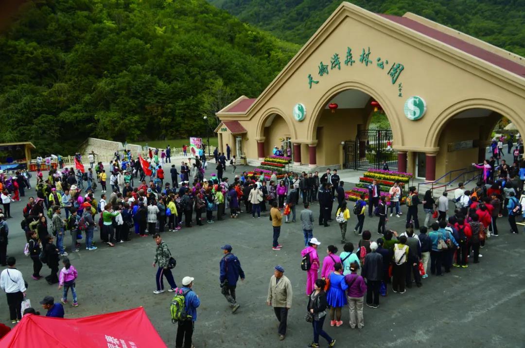 沈阳日报12月13日,沈阳新闻9月16日