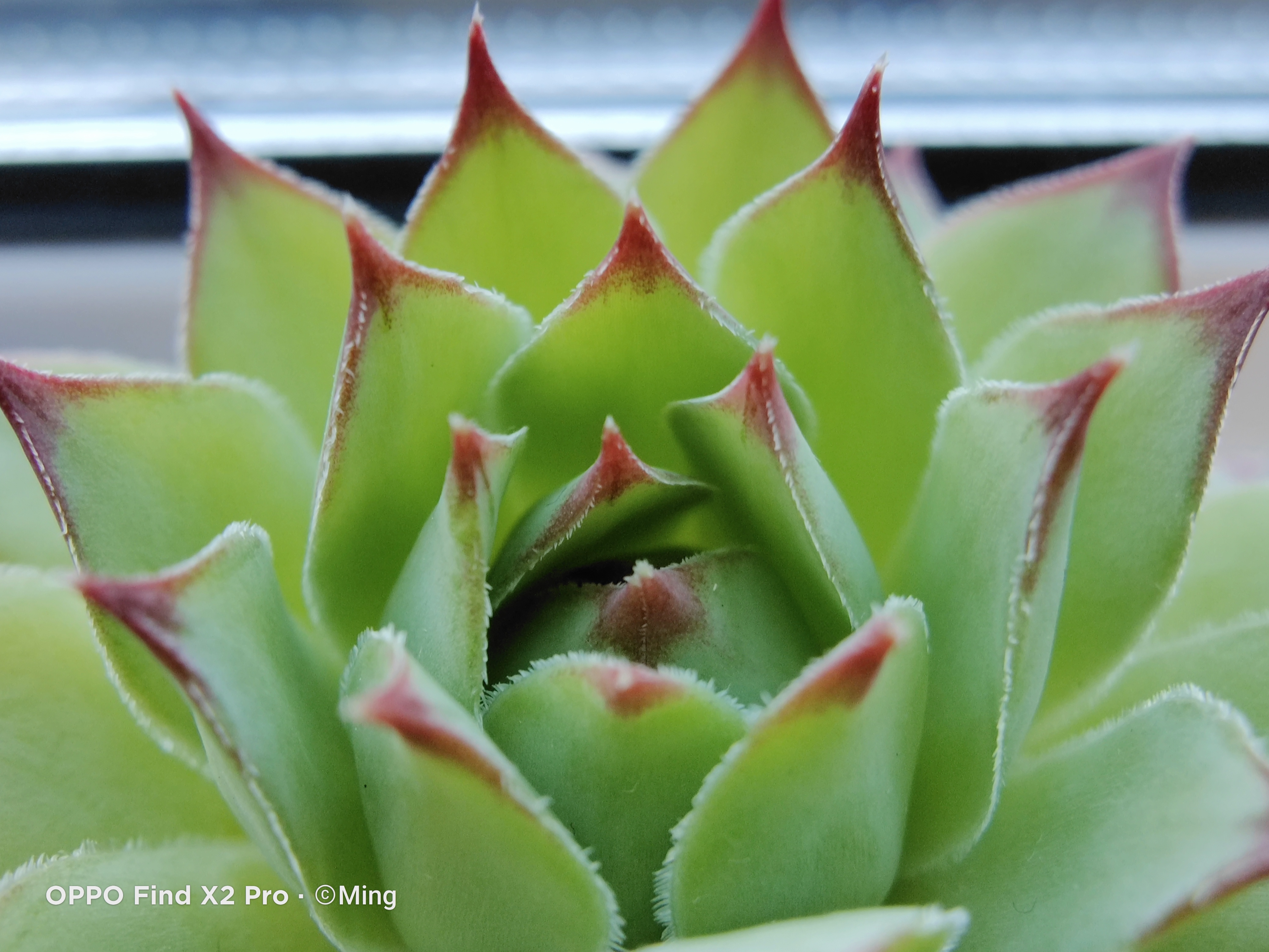 感受极致体验——OPPOFindX2Pro深度测评