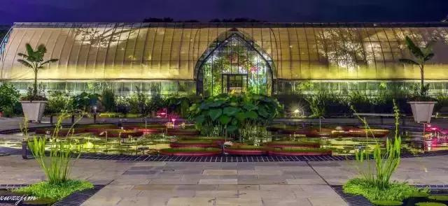 多利成都农庄门票,多利农庄门票