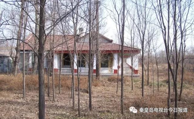 秦皇岛最早的楼房,秦皇岛十大闹市区