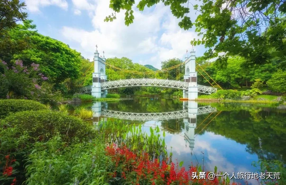 广西哪些城市是靠一碗粉火起来的,凭一碗螺蛳粉征服世界