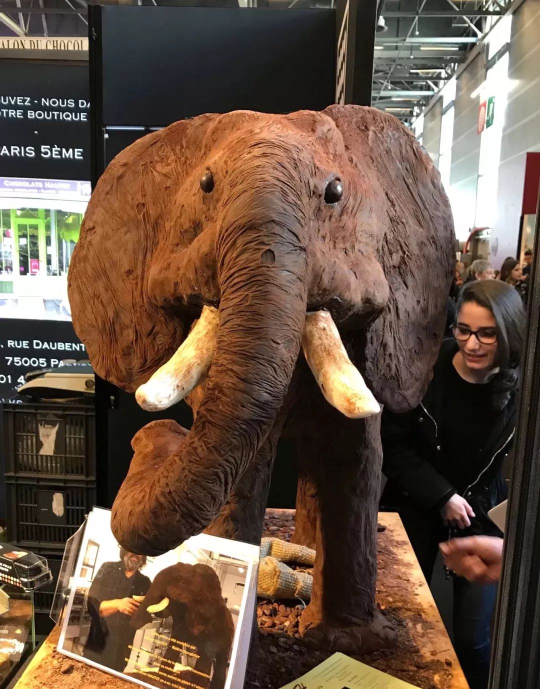 巧克力沙龙展览,巧克力沙龙展