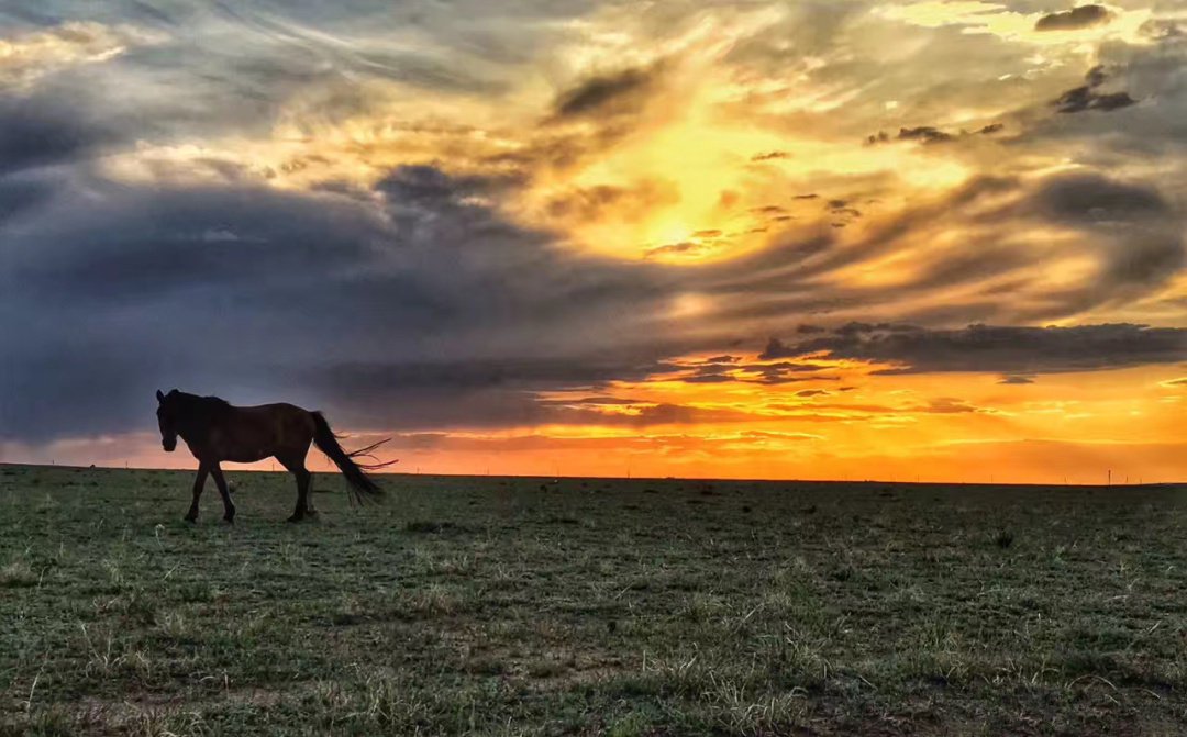 内蒙呼和浩特市内游,五一内蒙古呼和浩特及周边游