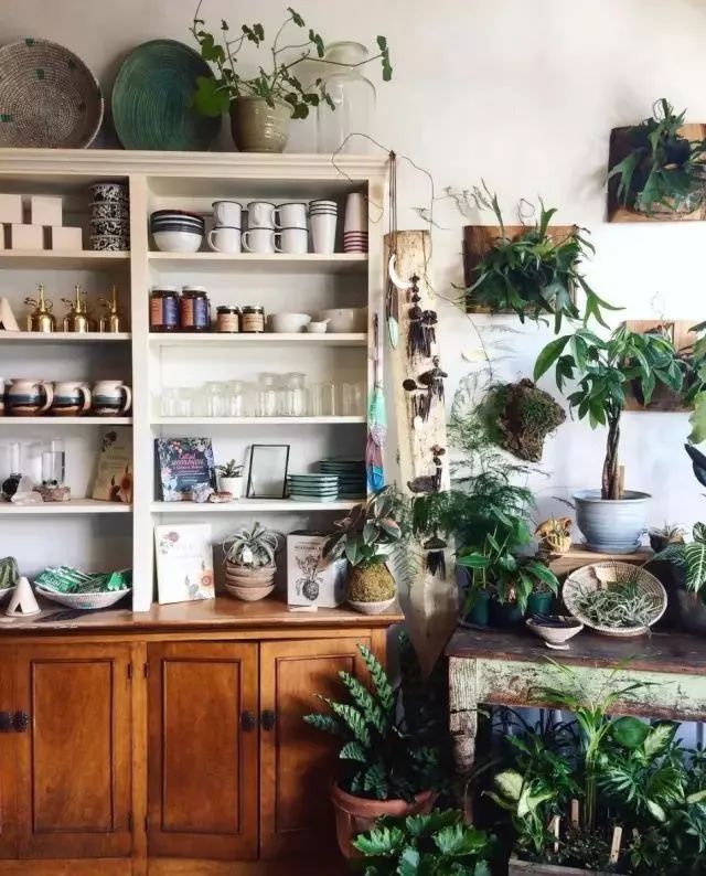 开一家植物美学小店,开一家属于自己的花店