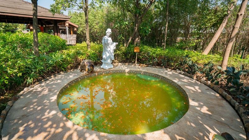 厦门天沐温泉年票,厦门天沐温泉恐龙侏罗纪