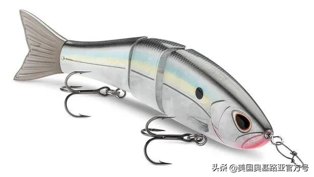 全国各地渔具展,全国渔具展2024