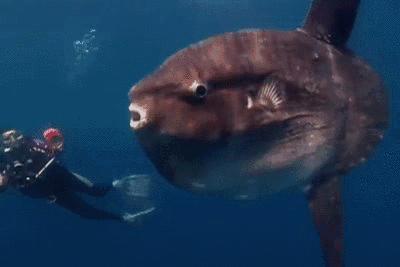 亲测巴厘岛|是时候聊聊它的正面目