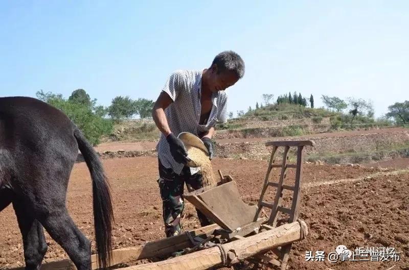 记忆中的拖拉机,农耕工具木耧简介