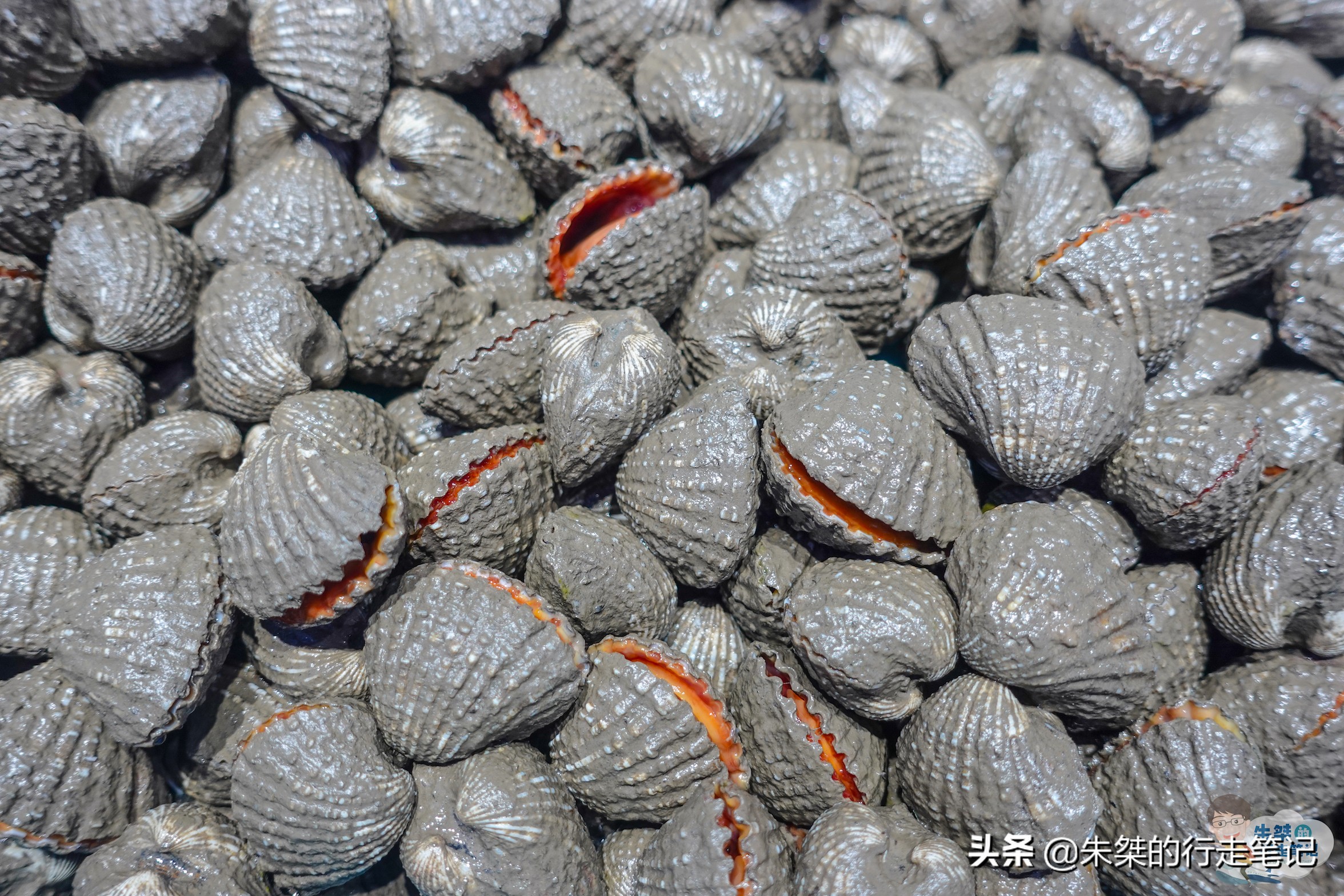 宁波超现代菜场,宁波最高档菜场