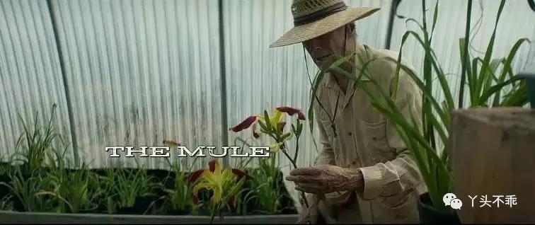 墨西哥毒贩历史事件,墨西哥运钞车事件