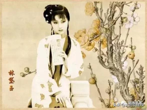 红楼梦关于王一贴的讲解,从红楼梦中谈女性