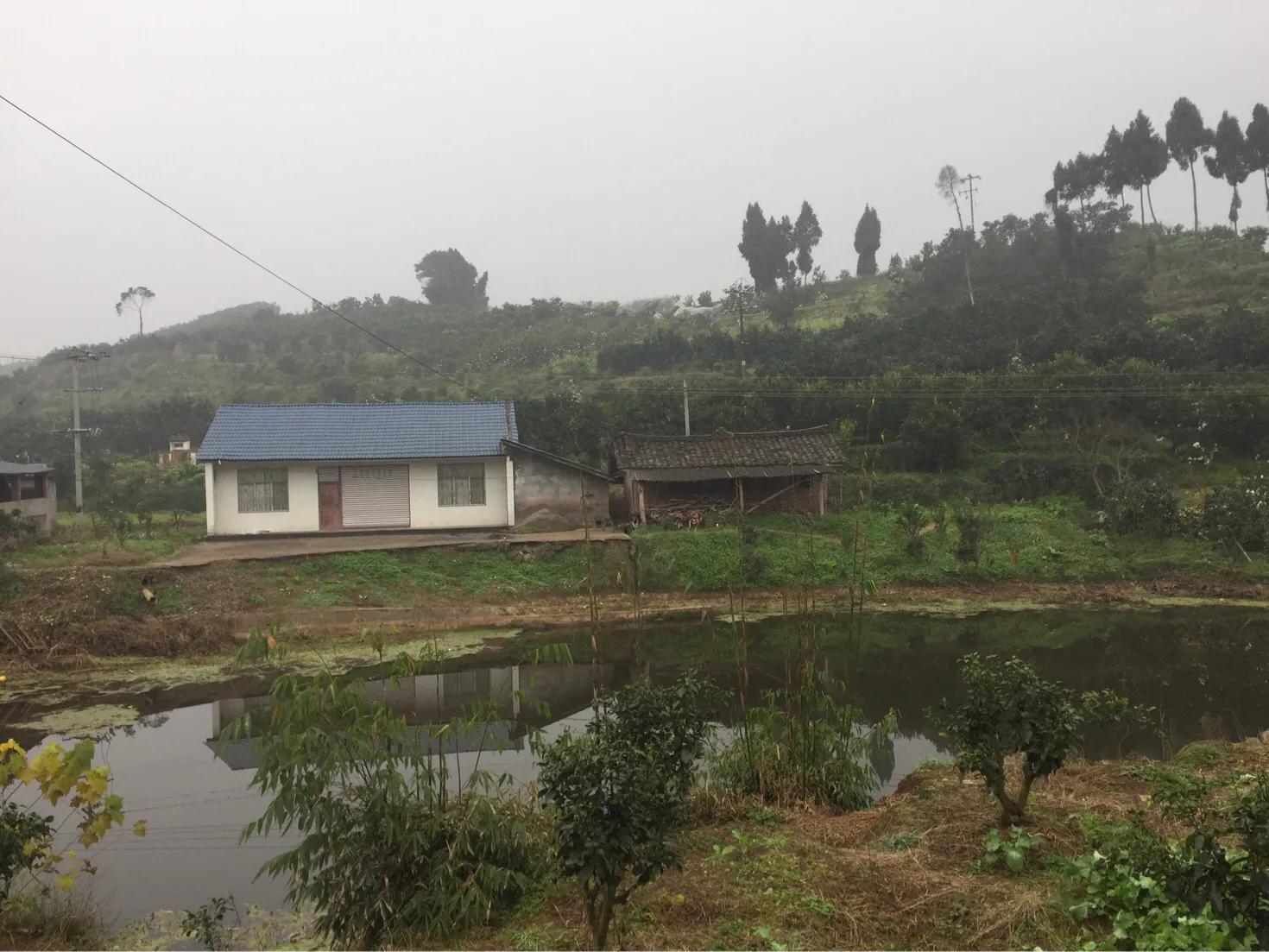 外嫁女能分土地补偿款吗,外嫁女户口在娘家土地该如何确权