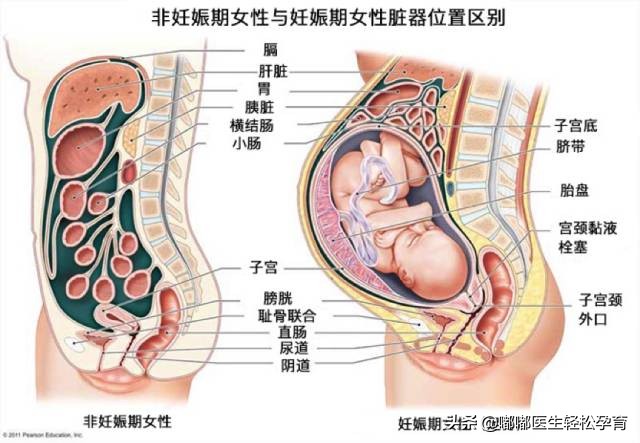 生娃之后头痛、关节痛、风湿病,一招教你治好你的「月子病」