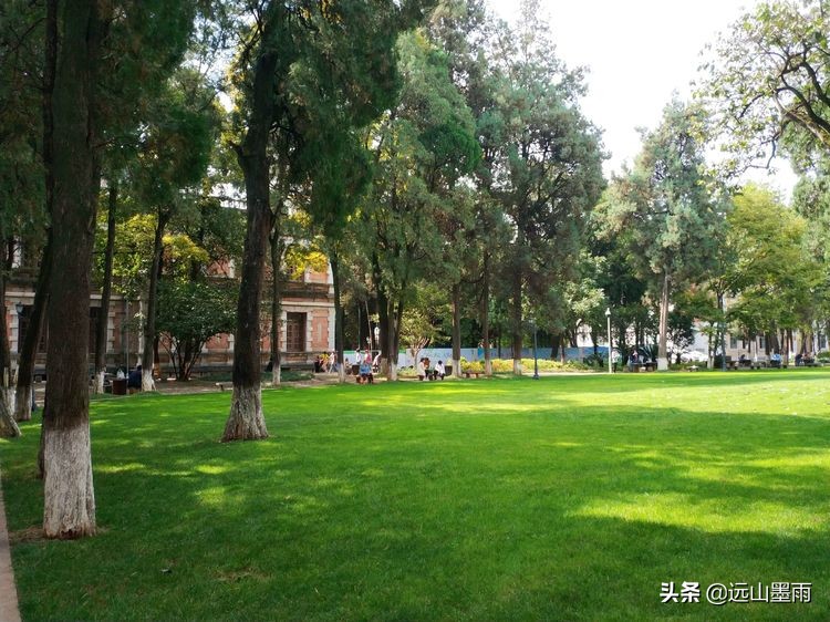 云大校园翠湖视频,昆明翠湖云大游玩路线