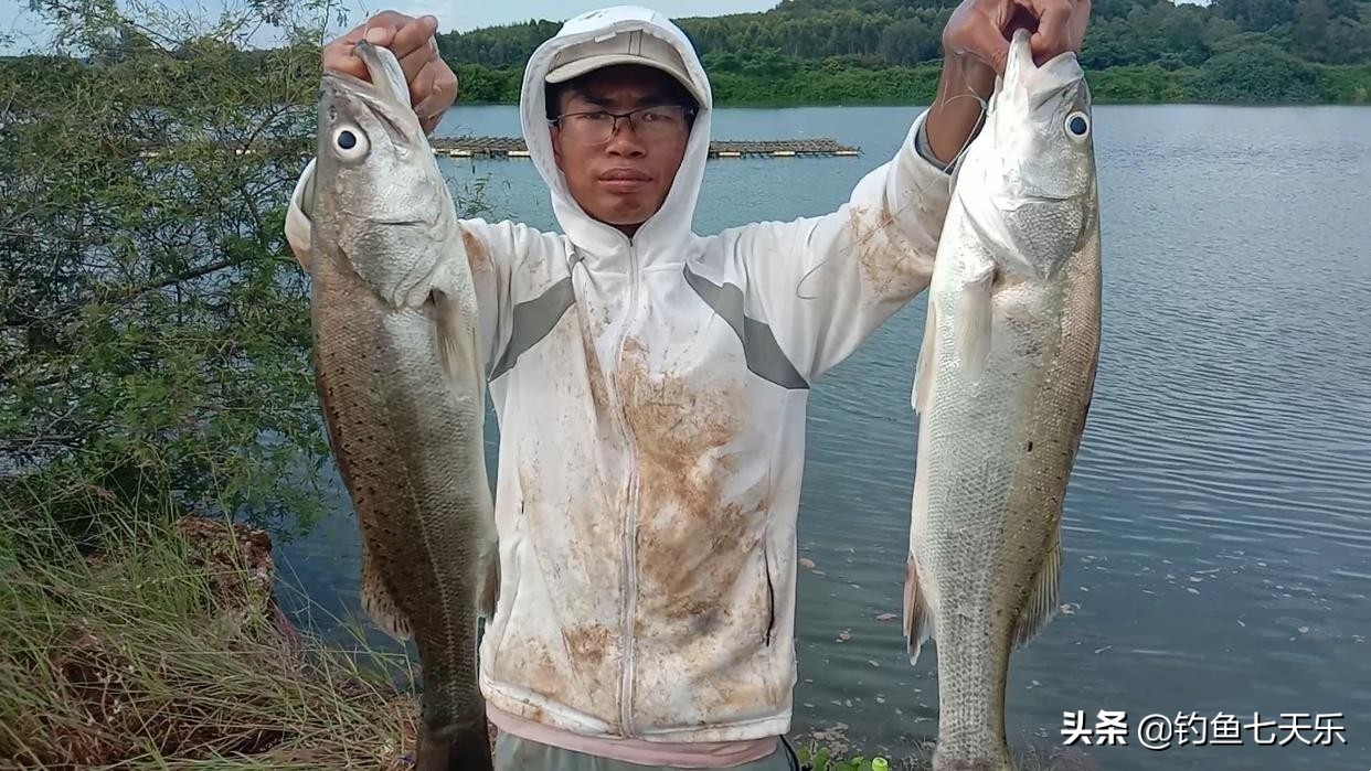 海南职业海钓一年赚多少钱,海钓致富小渔民