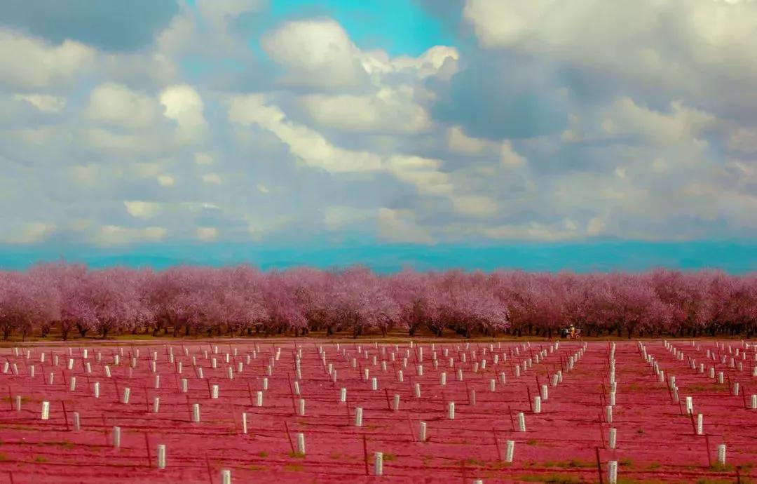 100个免费图片编辑软件,免费找图网识图