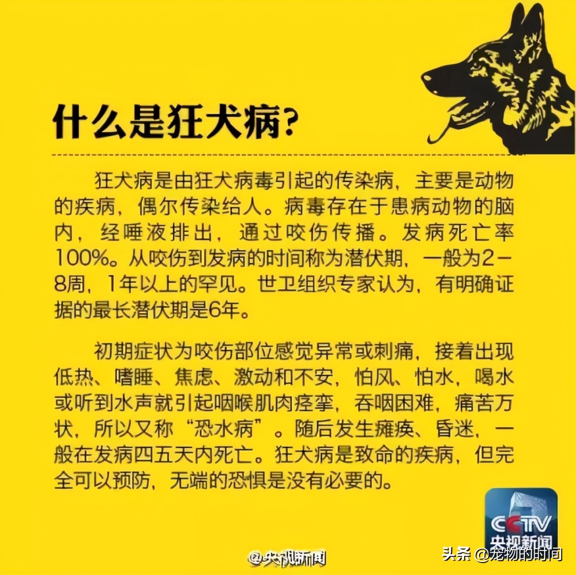 关于狂犬病铲屎官的您是否理解的够深刻