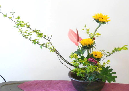 花卉摆放风水禁忌图解大全,室内花卉摆放位置风水学